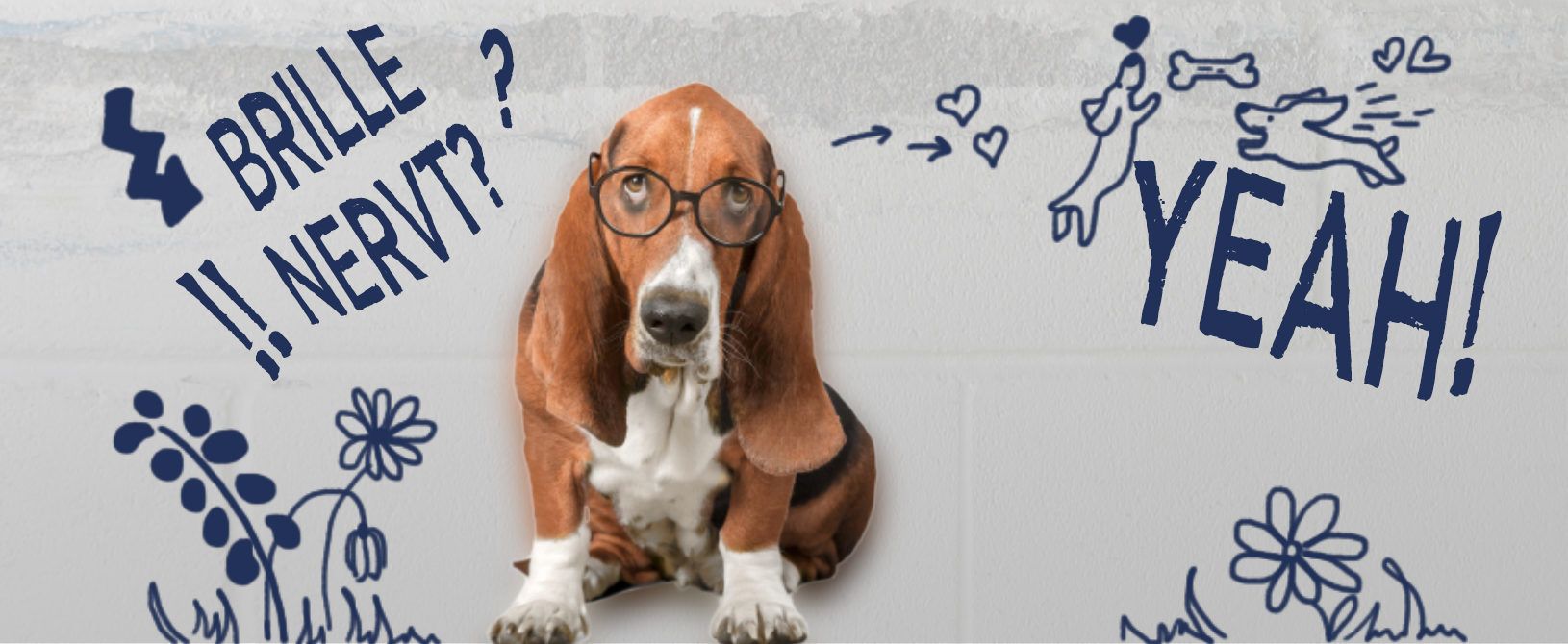 Hund mit Brille - Augencentrum Homburg